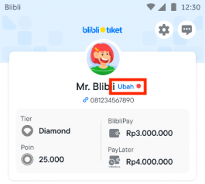 Profile ULP