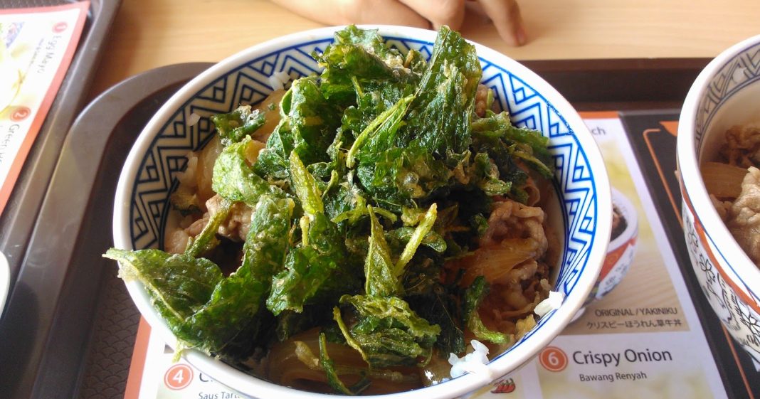 Rekomendasi Menu Yoshinoya Best Seller - Crispy Spinach Beef Bowl