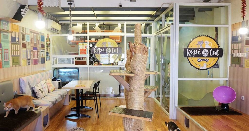 Kopi Cat Cafe by Groovy - Sinar Mas Land